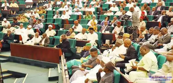 SERAP drags House of Reps to UN over alleged budget padding